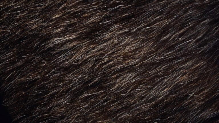 Agendar women haircut detail 23 692de7250ed67