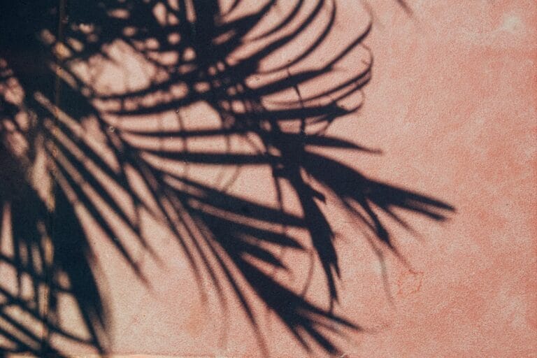 Depilacao eyebrow wax detail 11 6947b816a4d55