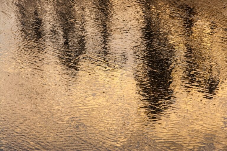 Depilacao eyebrow wax strip 6941b24380a91